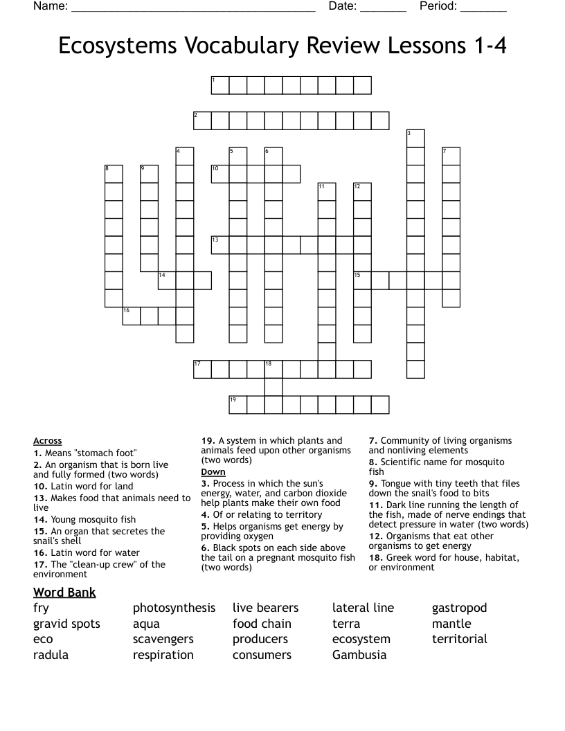 Ecosystems Vocabulary Review Lessons 1-4 Crossword