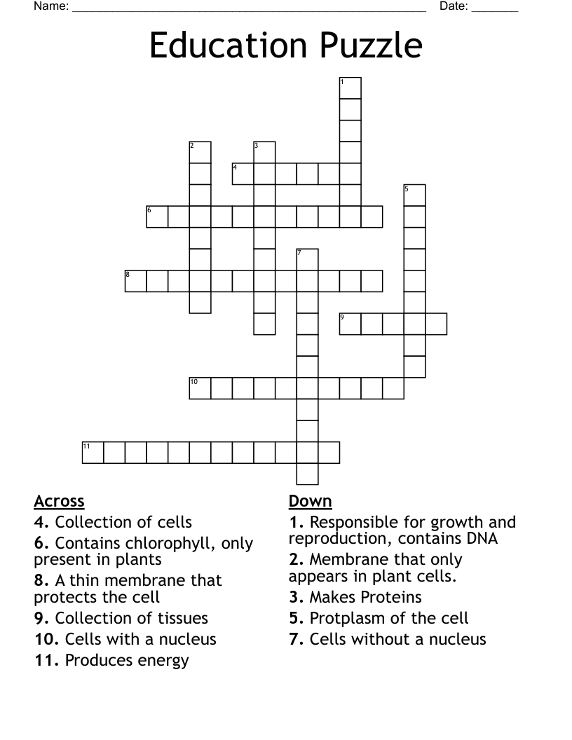 Education Puzzle Crossword