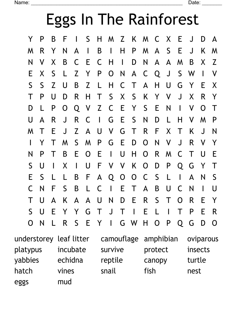 Eggs In The Rainforest Word Search