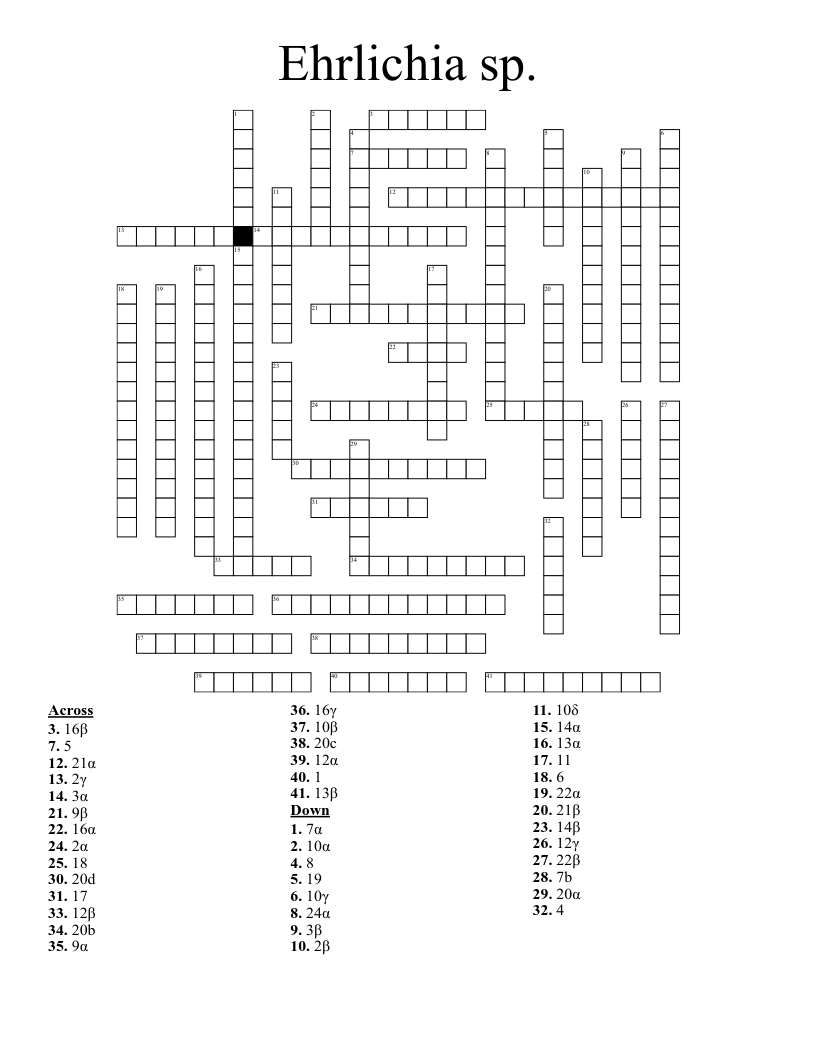 Ehrlichia sp.  Crossword