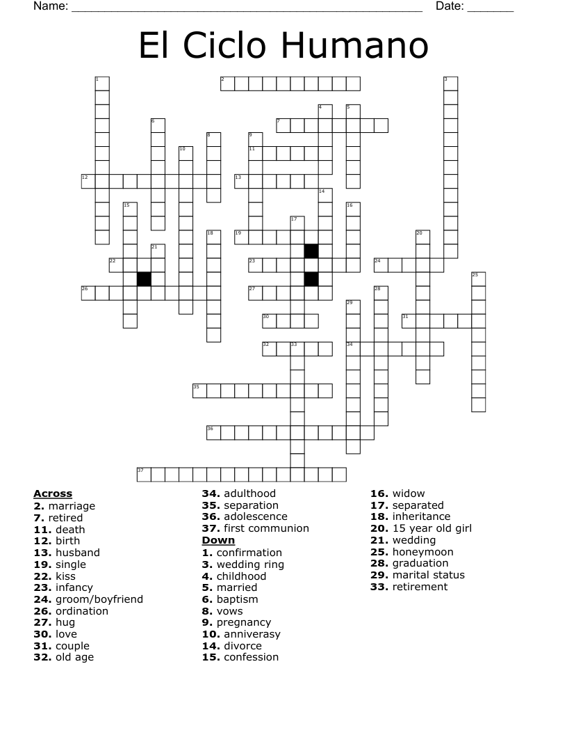 El Ciclo Humano Crossword