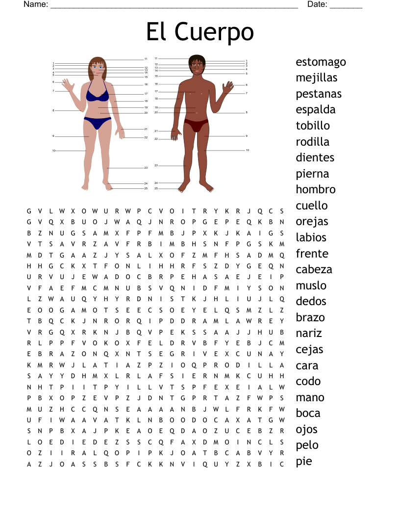El Cuerpo Word Search