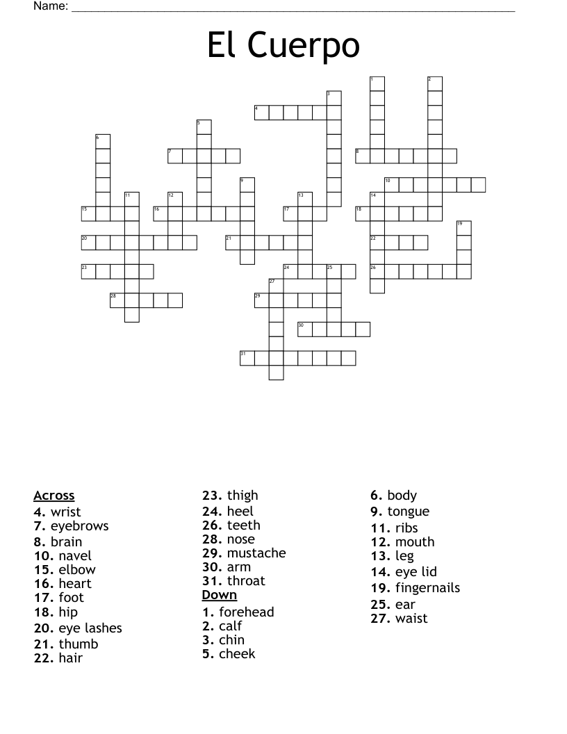 El Cuerpo Crossword