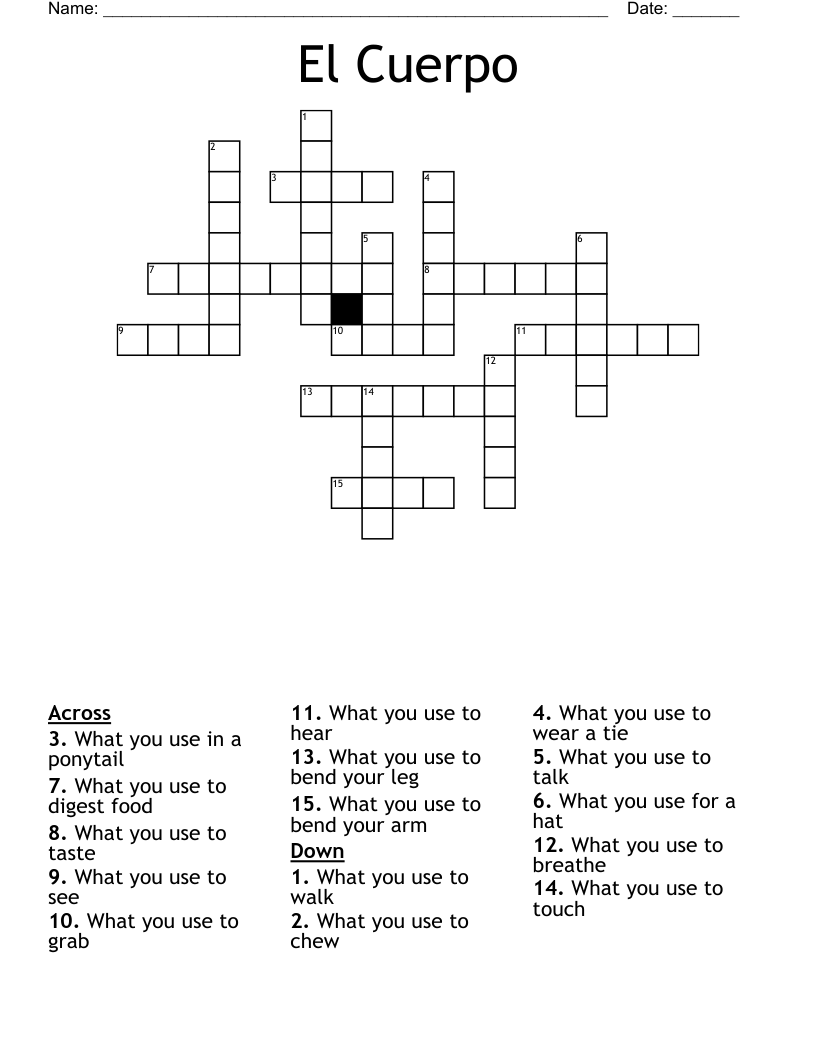 El Cuerpo Crossword