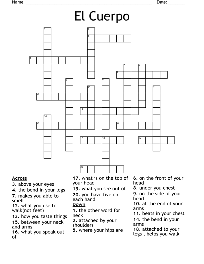 El Cuerpo Crossword