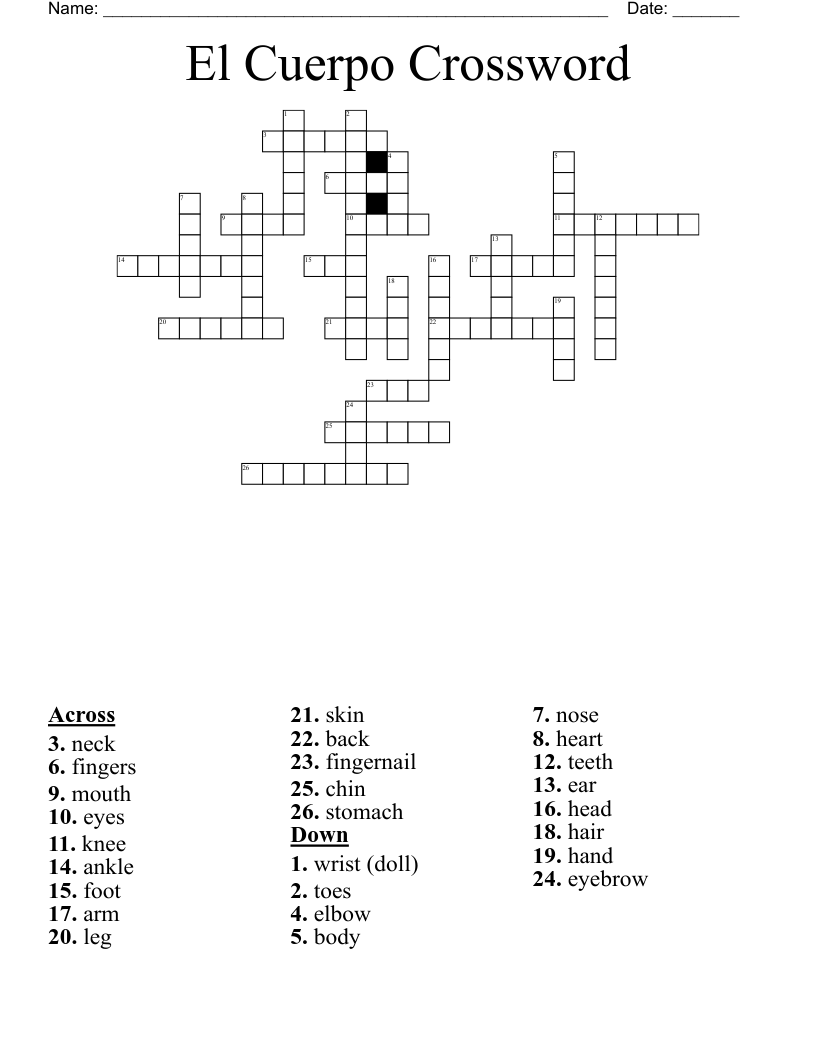 El Cuerpo Crossword