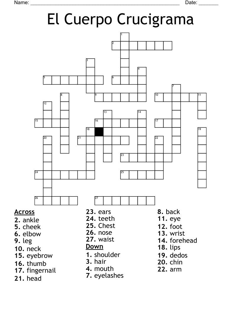 El Cuerpo Crucigrama Crossword