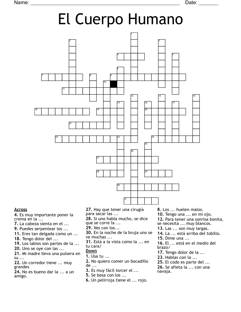 El Cuerpo Humano Crossword