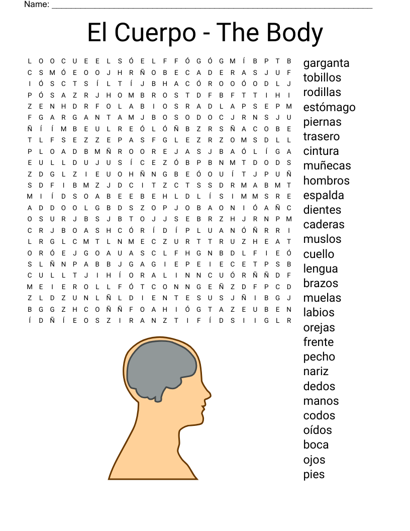 El Cuerpo - The Body Word Search