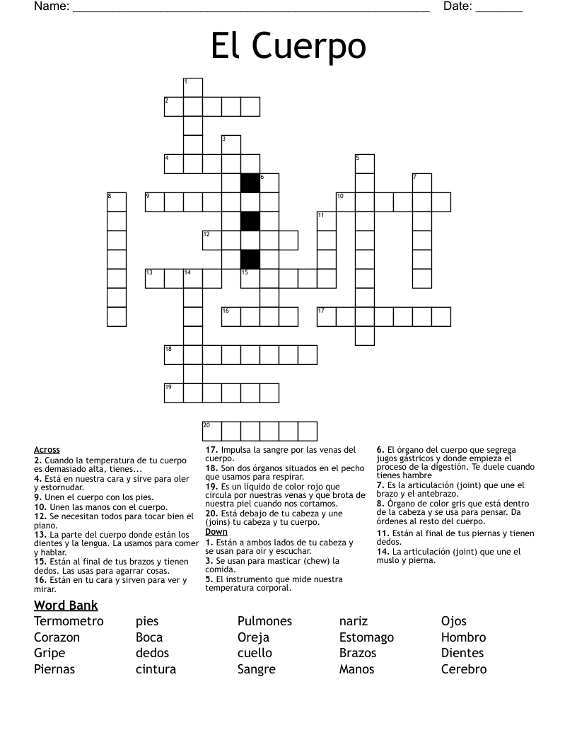 El Cuerpo  Crossword