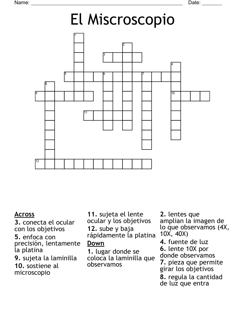 El Miscroscopio Crossword