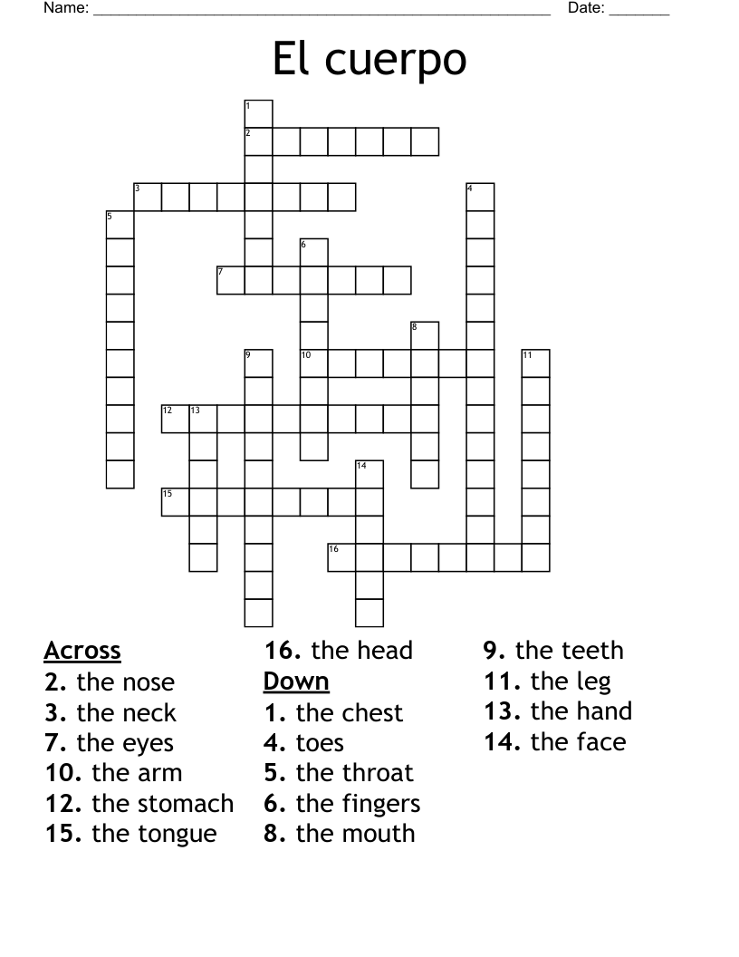 El cuerpo Crossword