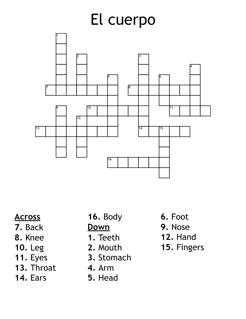 El cuerpo Crossword