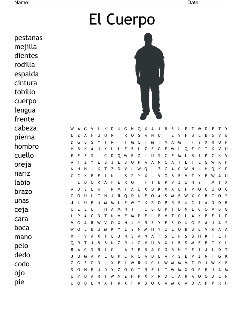 El Cuerpo Word Search