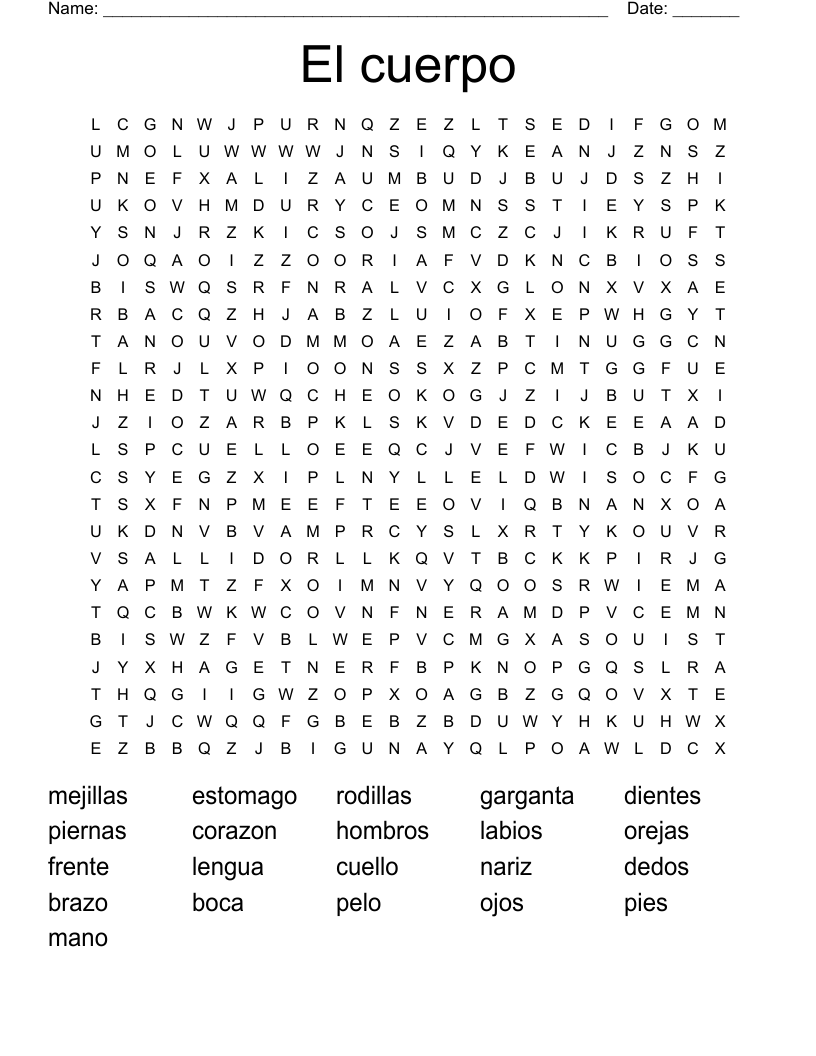 El cuerpo Word Search