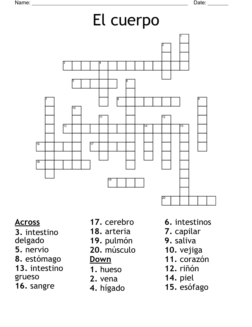 El cuerpo Crossword