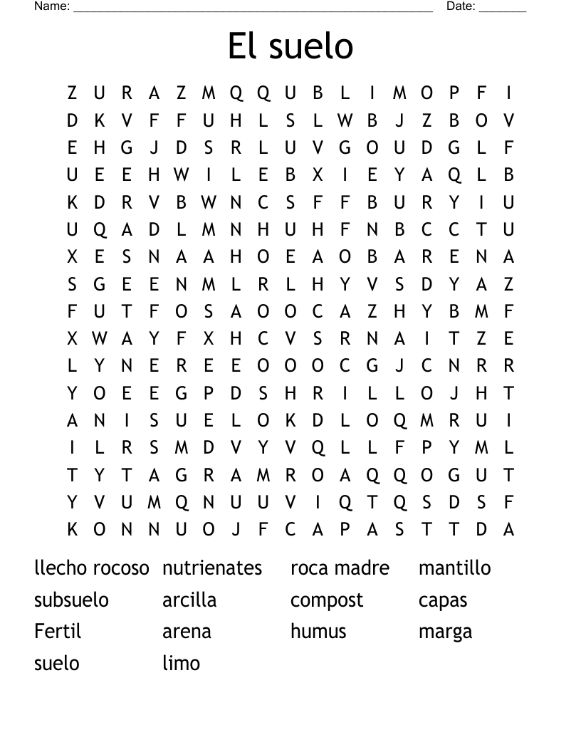 El suelo Word Search