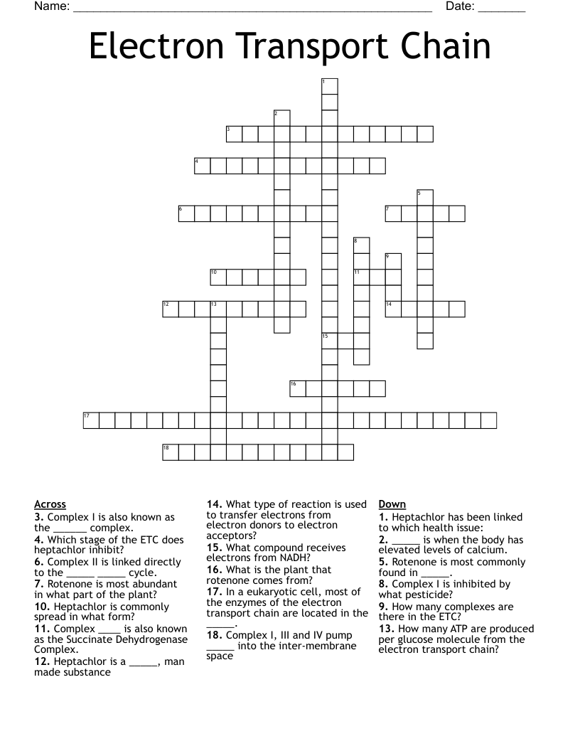 Electron Transport Chain Crossword