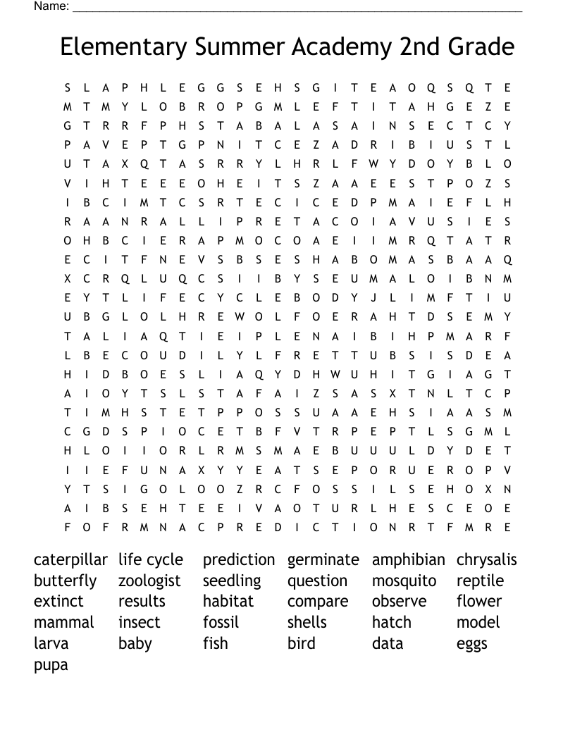 Elementary Summer Academy 2nd Grade Word Search
