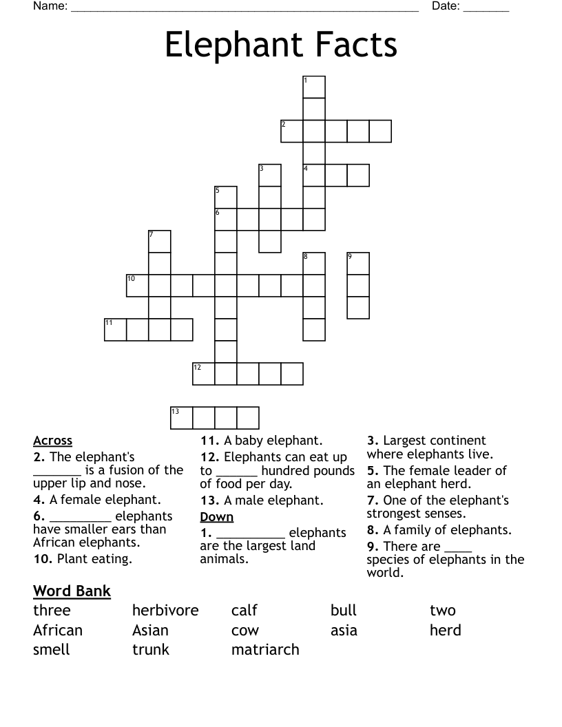 Elephant Facts Crossword
