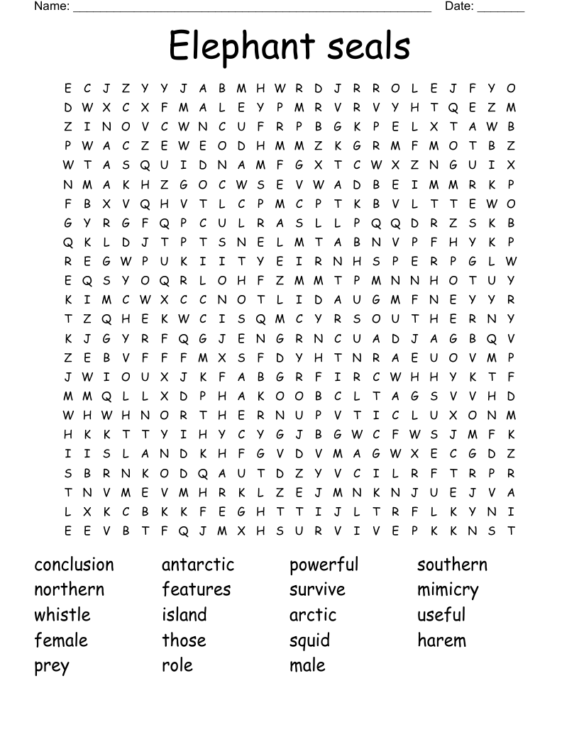 Elephant seals Word Search