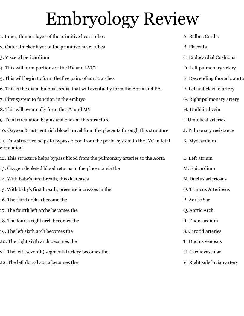 Embryology Review Worksheet