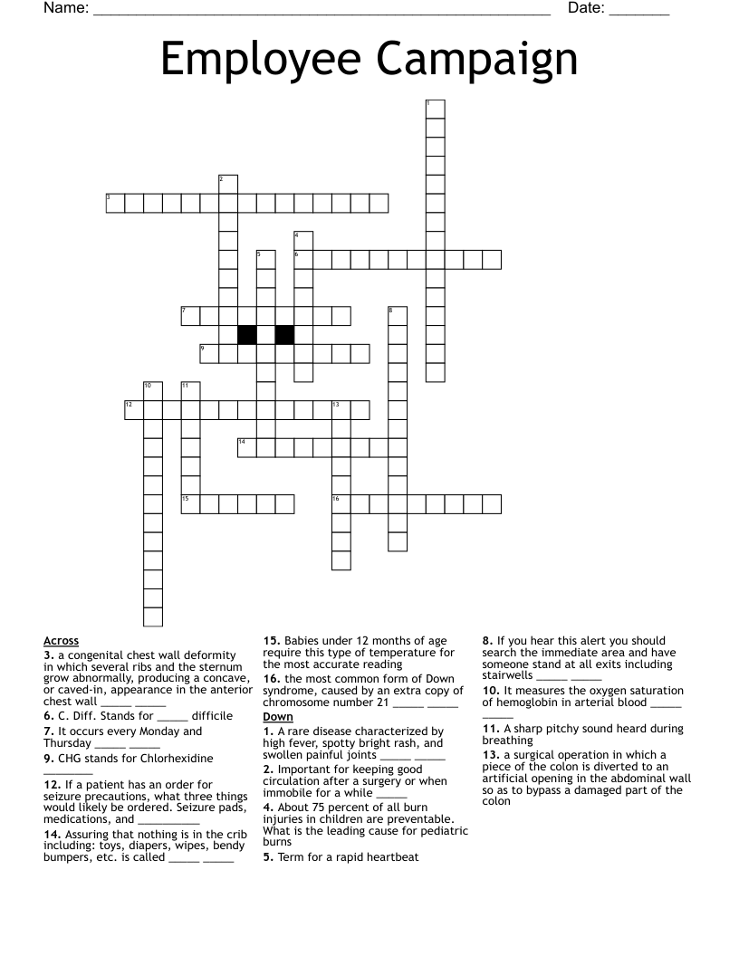 Employee Campaign  Crossword