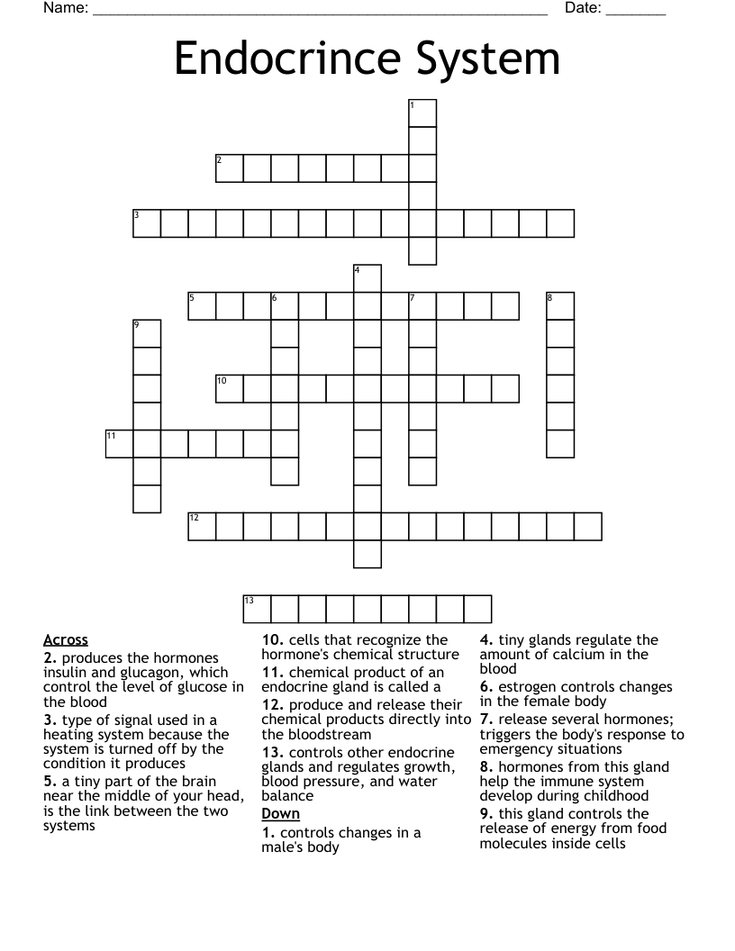 Endocrince System Crossword