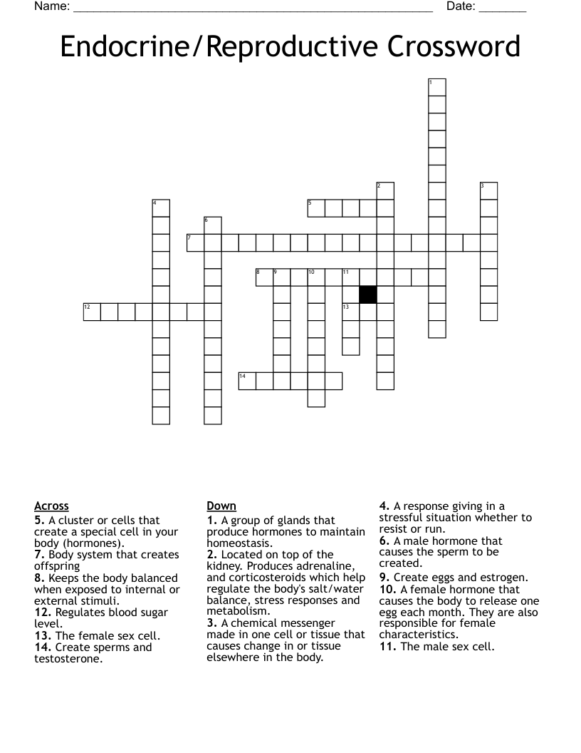 Endocrine/Reproductive Crossword