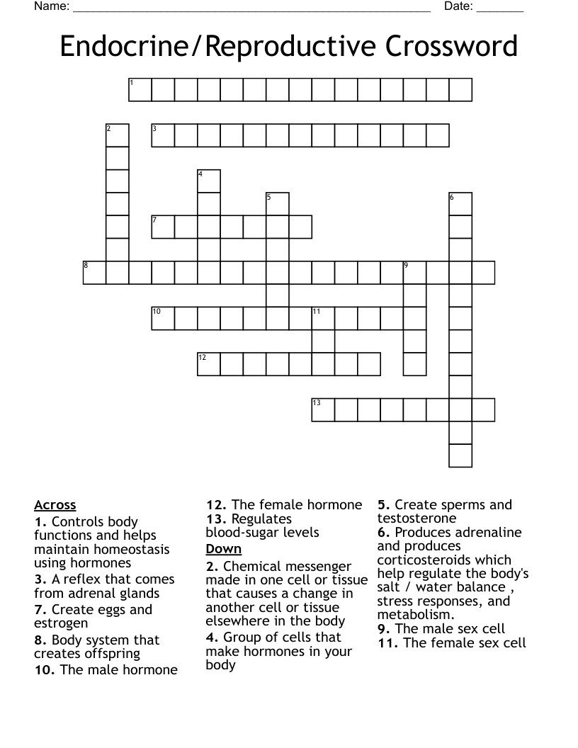 Endocrine/Reproductive Crossword
