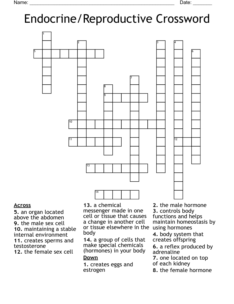 Endocrine/Reproductive Crossword