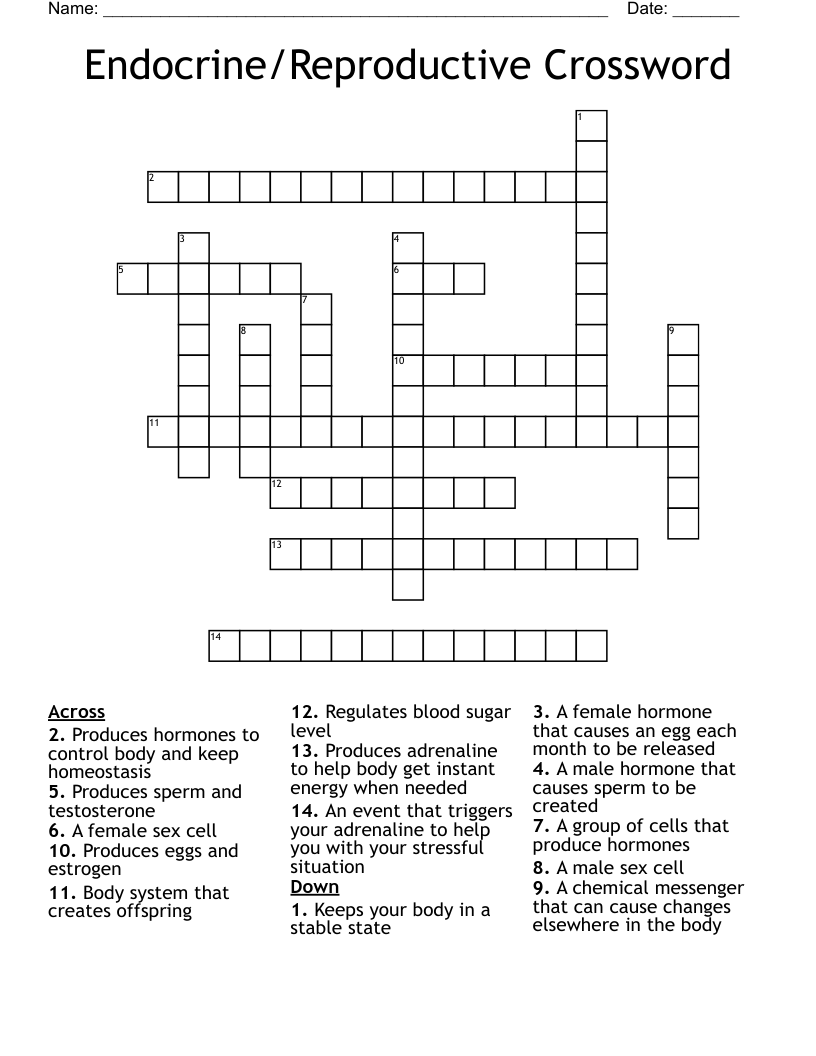 Endocrine/Reproductive Crossword