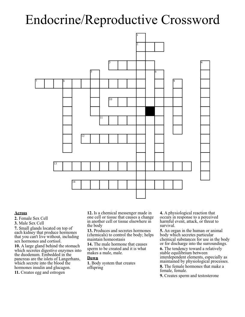 Endocrine/Reproductive Crossword