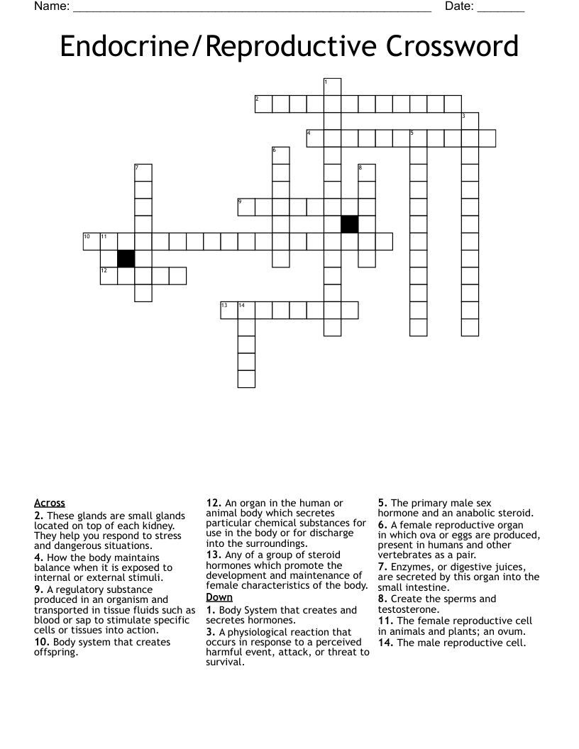 Endocrine/Reproductive Crossword