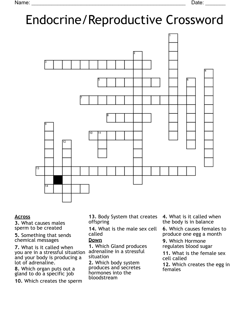Endocrine/Reproductive Crossword