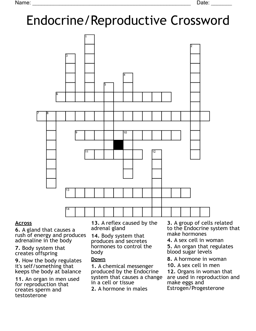 Endocrine/Reproductive Crossword