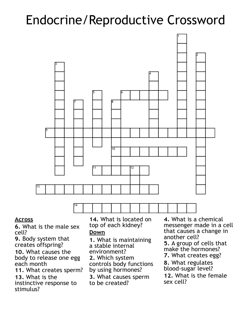 Endocrine/Reproductive Crossword