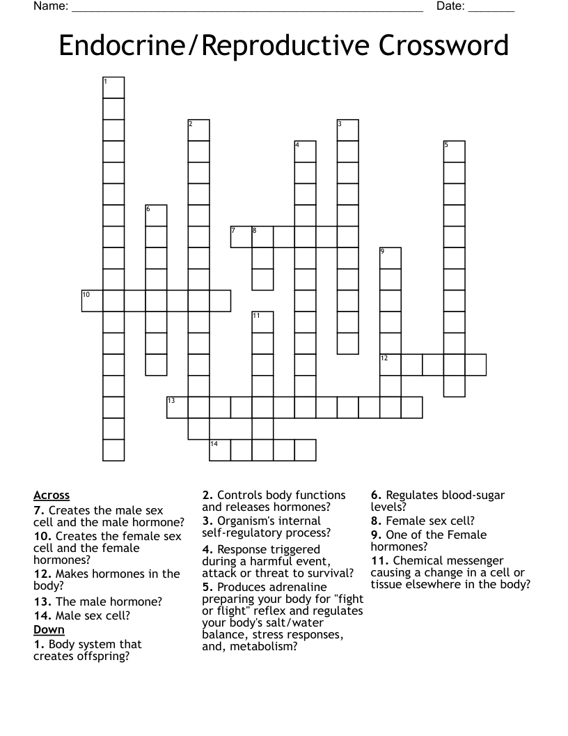 Endocrine/Reproductive Crossword