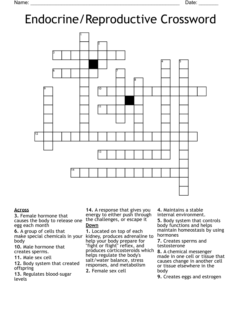 Endocrine/Reproductive Crossword