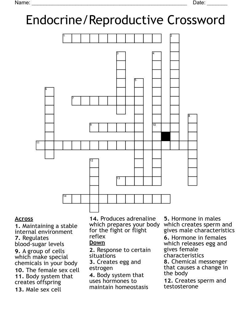 Endocrine/Reproductive Crossword