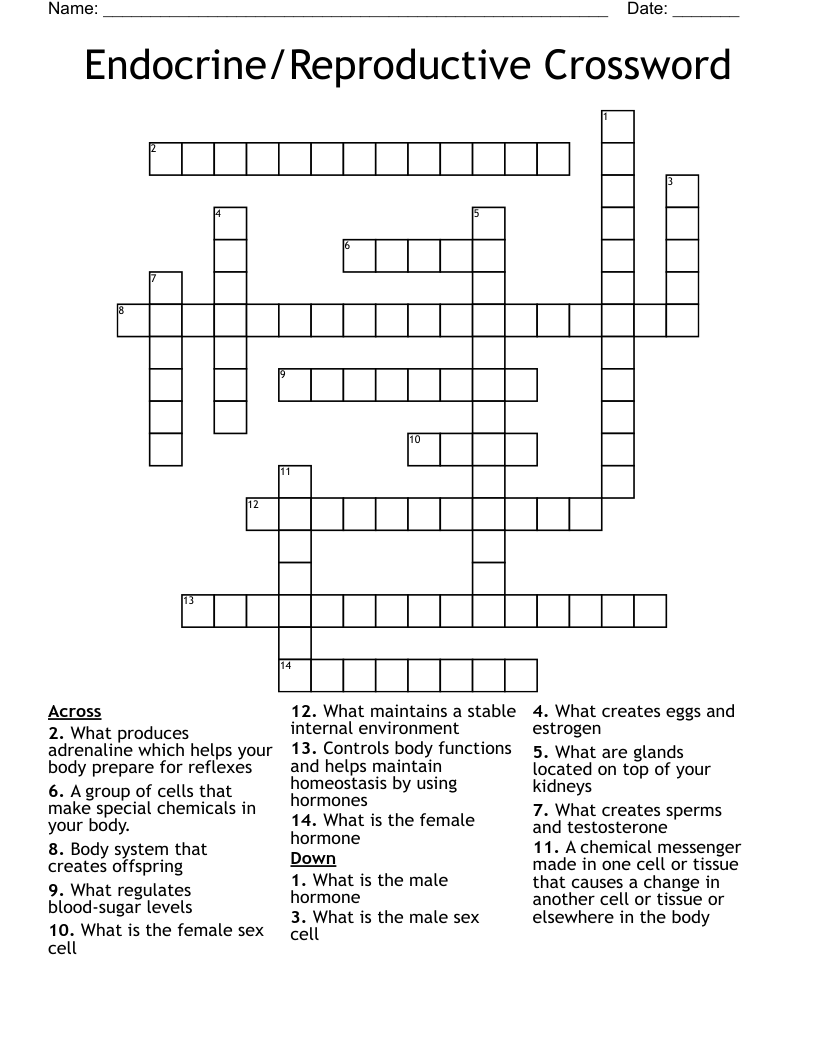 Endocrine/Reproductive Crossword