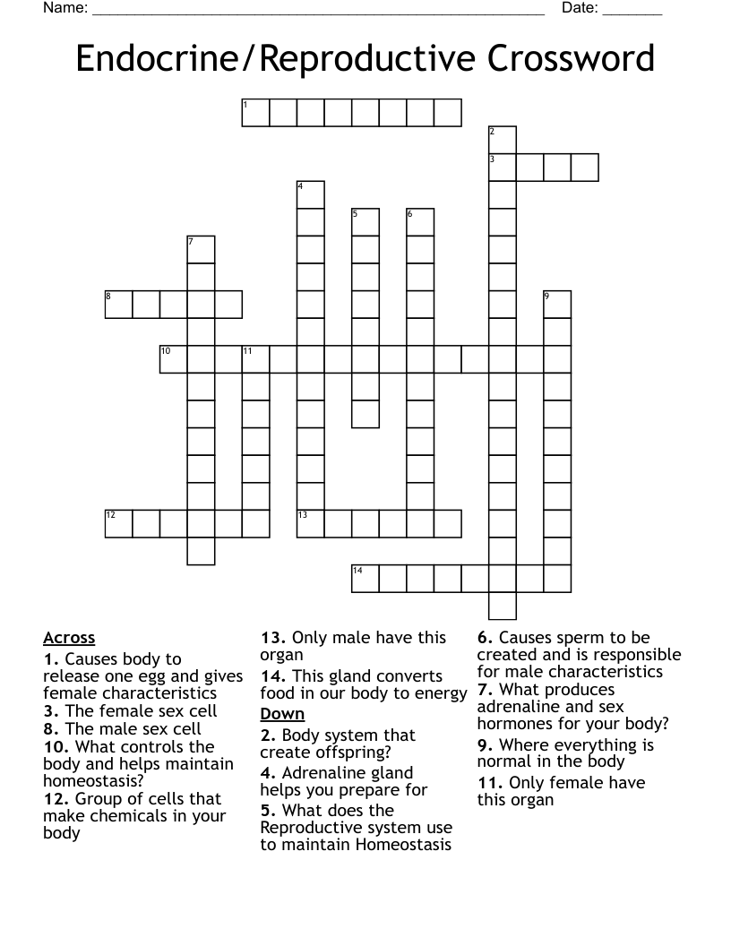 Endocrine/Reproductive Crossword