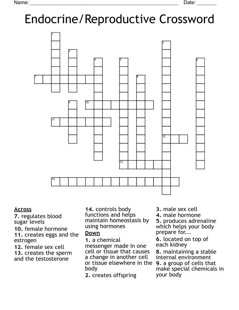 Endocrine/Reproductive Crossword