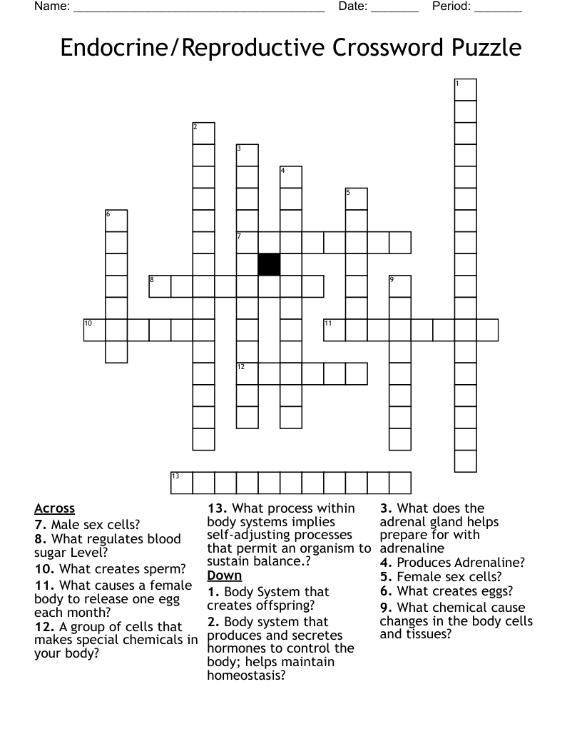 Endocrine/Reproductive Crossword Puzzle