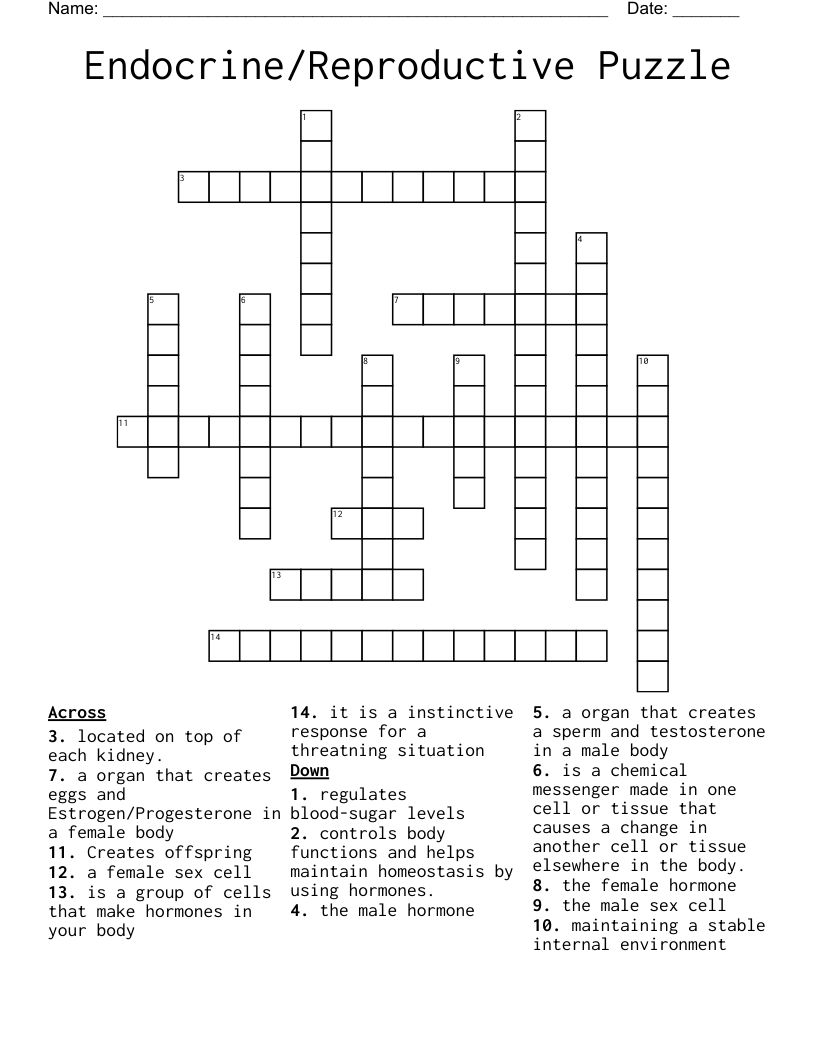 Endocrine/Reproductive Puzzle Crossword