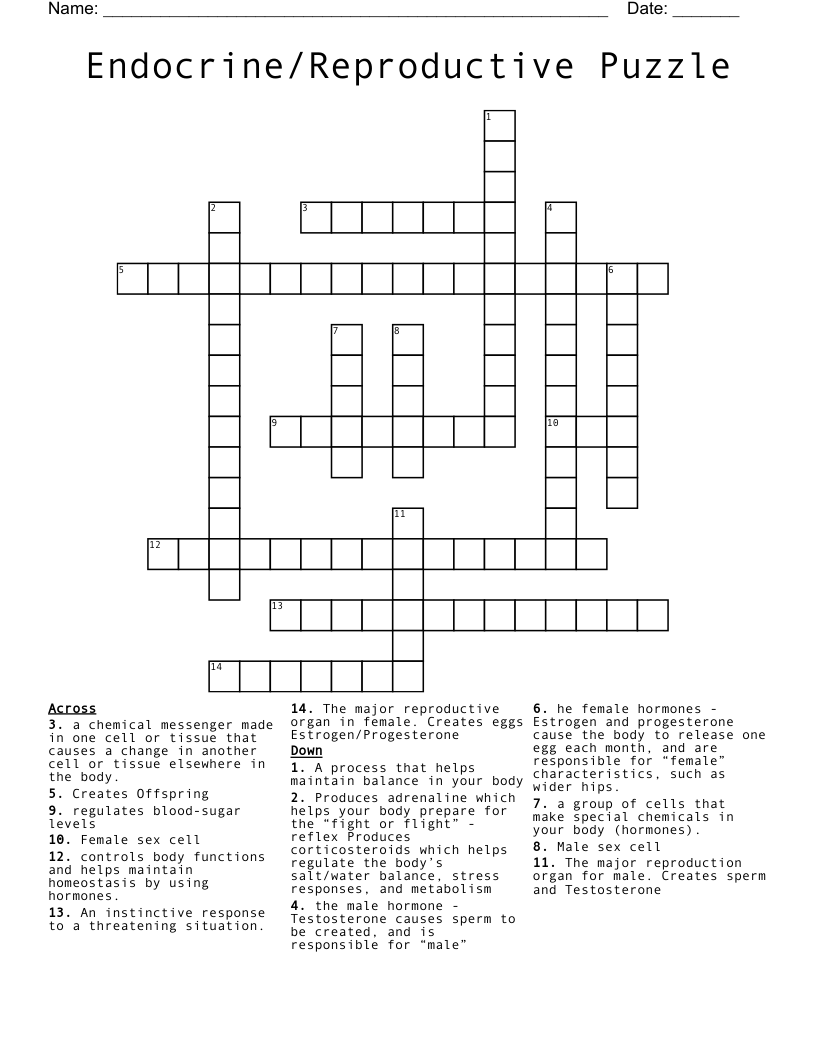 Endocrine/Reproductive Puzzle Crossword