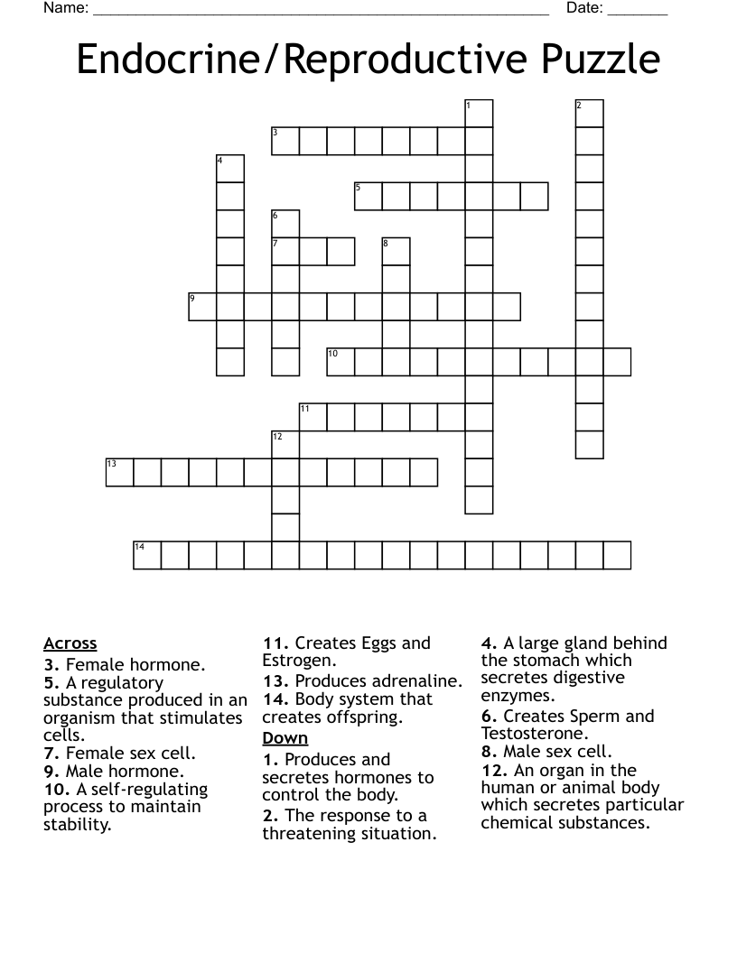 Endocrine/Reproductive Puzzle Crossword