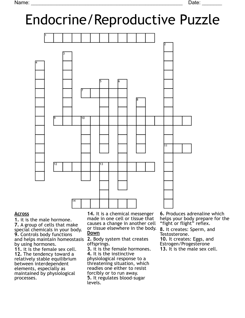 Endocrine/Reproductive Puzzle Crossword