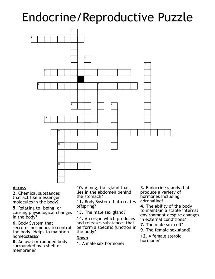 Endocrine/Reproductive Puzzle Crossword