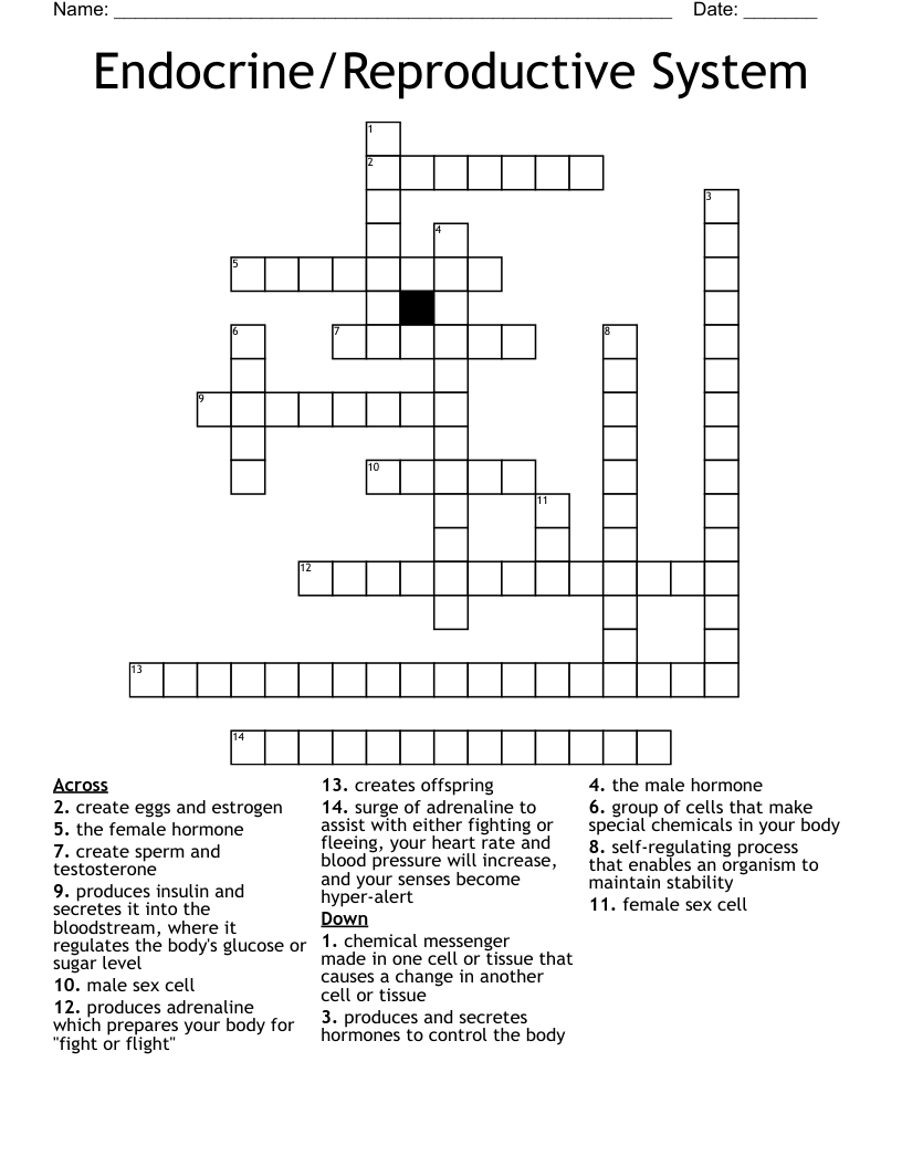 Endocrine/Reproductive System Crossword